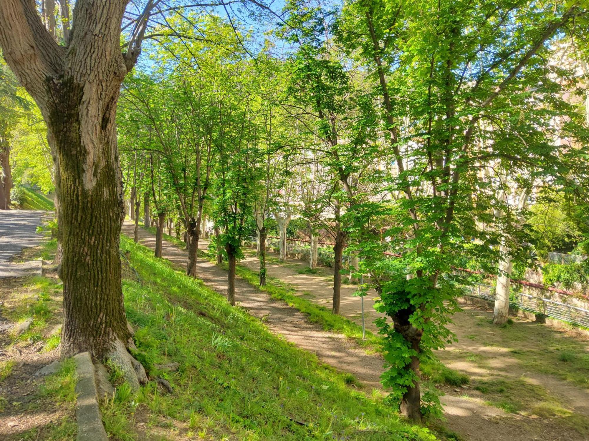 Appartement A Beholding Sight Амелі-ле-Бен-Палальда Екстер'єр фото